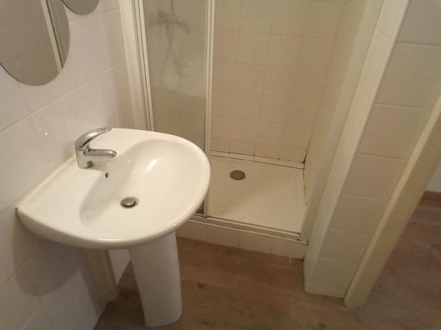 Location appartement T2 Lyon 7 - Photo 3