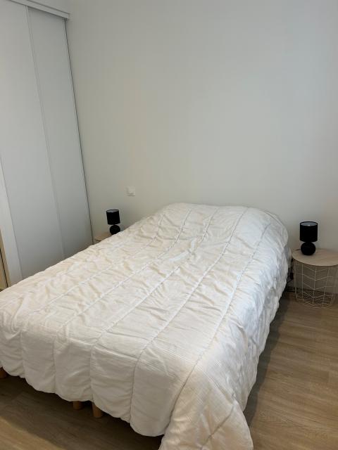 Location appartement T2 Rennes - Photo 3