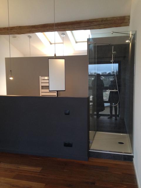 Location appartement T2 St Cyr au Mont d'Or - Photo 6