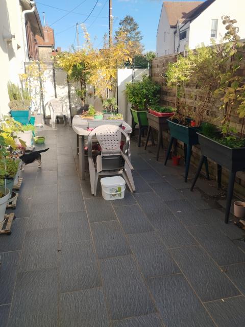 Location appartement T3 Mormant - Photo 2
