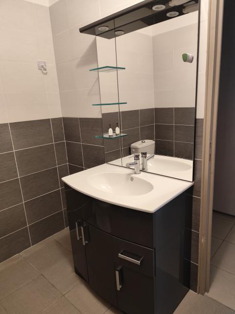 Location appartement T3 Mormant - Photo 5