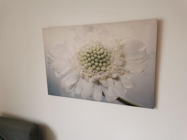 Location appartement T3 St Cloud - Photo 3