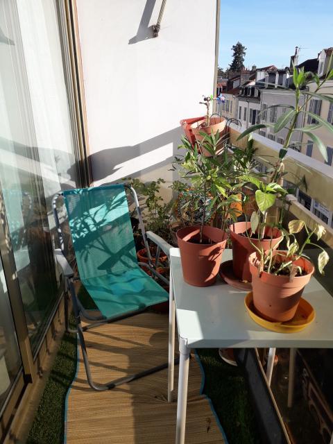 Location appartement T3 Pau - Photo 10