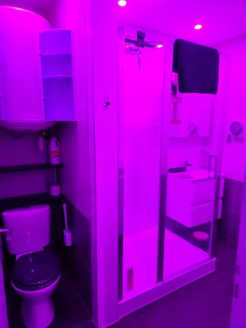 Location appartement T3 Nancy - Photo 3