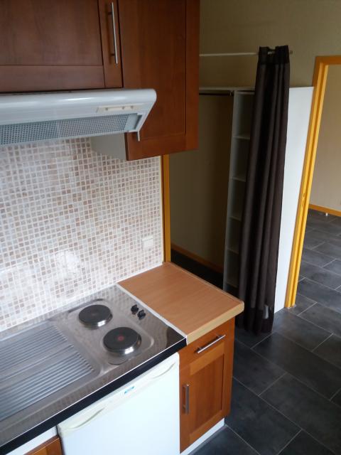 Location appartement T1 St Etienne - Photo 4
