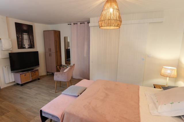 Location appartement T1 Arbent - Photo 4