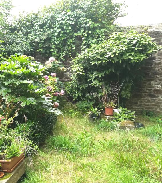 Location appartement T3 Brest - Photo 7