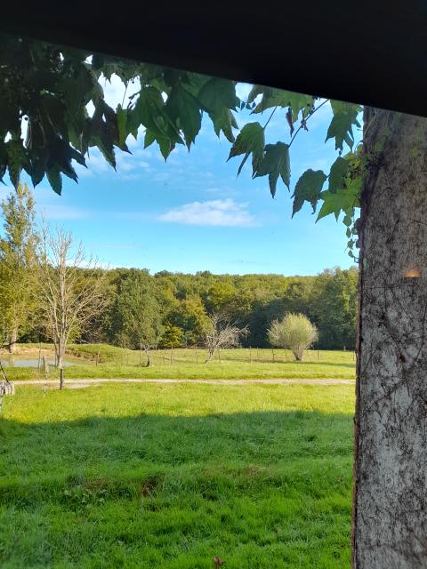 Location appartement T1 Moncorneil Grazan - Photo 7
