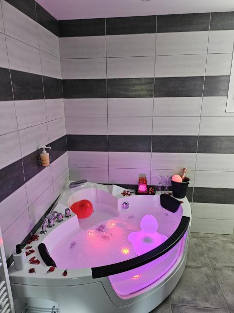 Location maison F4 Cornebarrieu - Photo 6