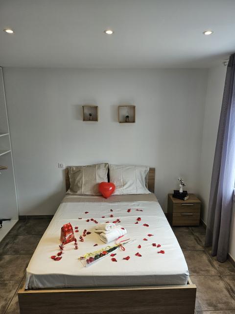 Location maison F4 Cornebarrieu - Photo 8