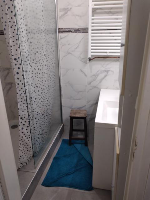 Location appartement T3 Firminy - Photo 4