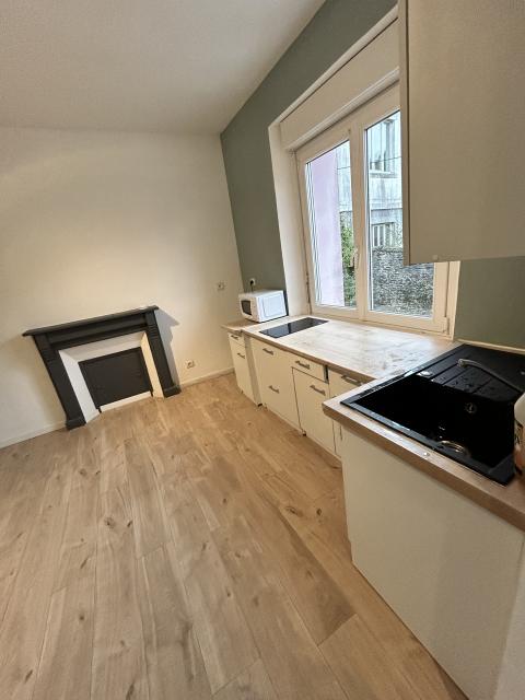 Location appartement T1 Pont de Buis les Quimerch - Photo 2