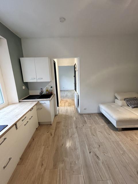 Location appartement T1 Pont de Buis les Quimerch - Photo 3