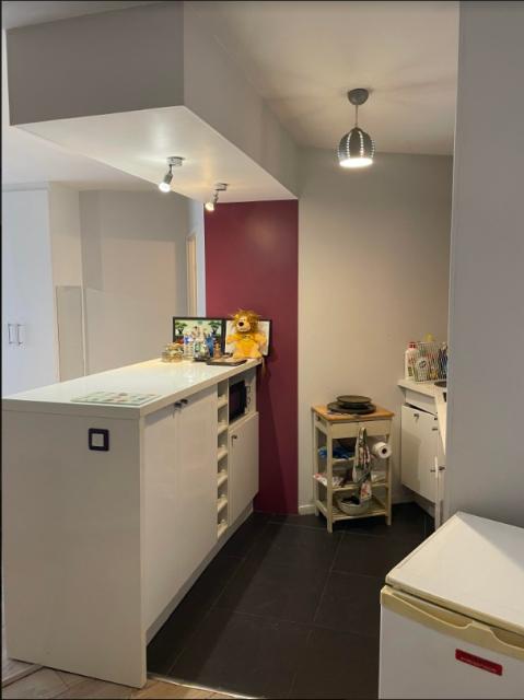Location appartement T1 Paris 15 - Photo 5