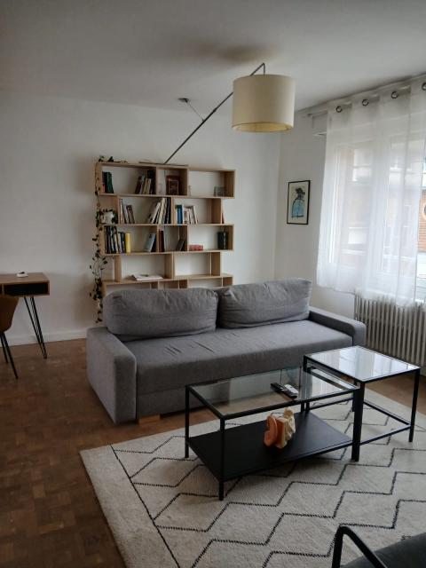 Location appartement T3 Lille - Photo 1