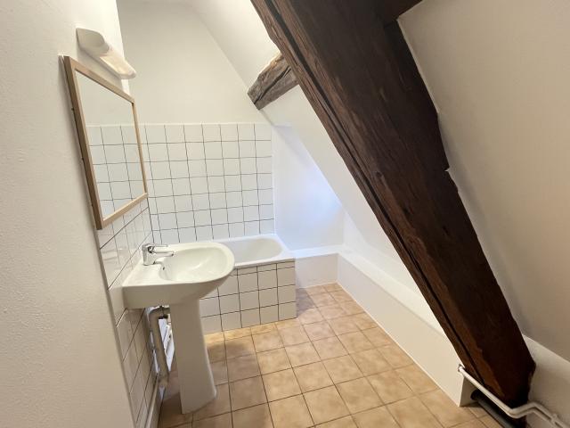 Location appartement T3 Metz - Photo 6