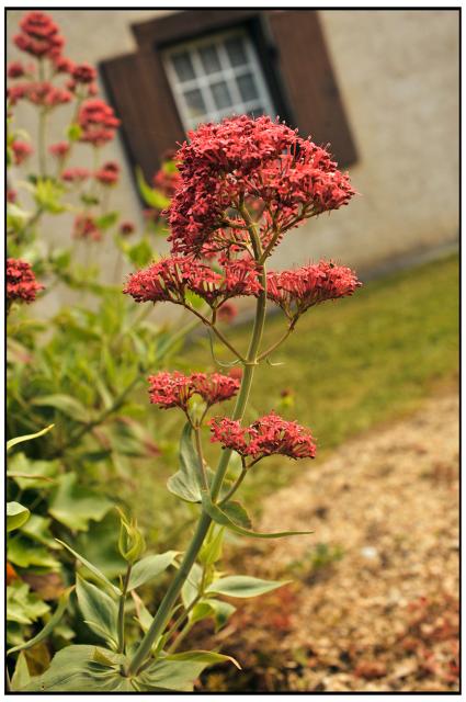 Location maison F5 Brantome - Photo 5