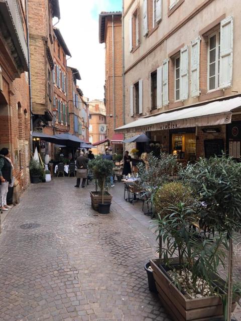 Location appartement T2 Albi - Photo 10