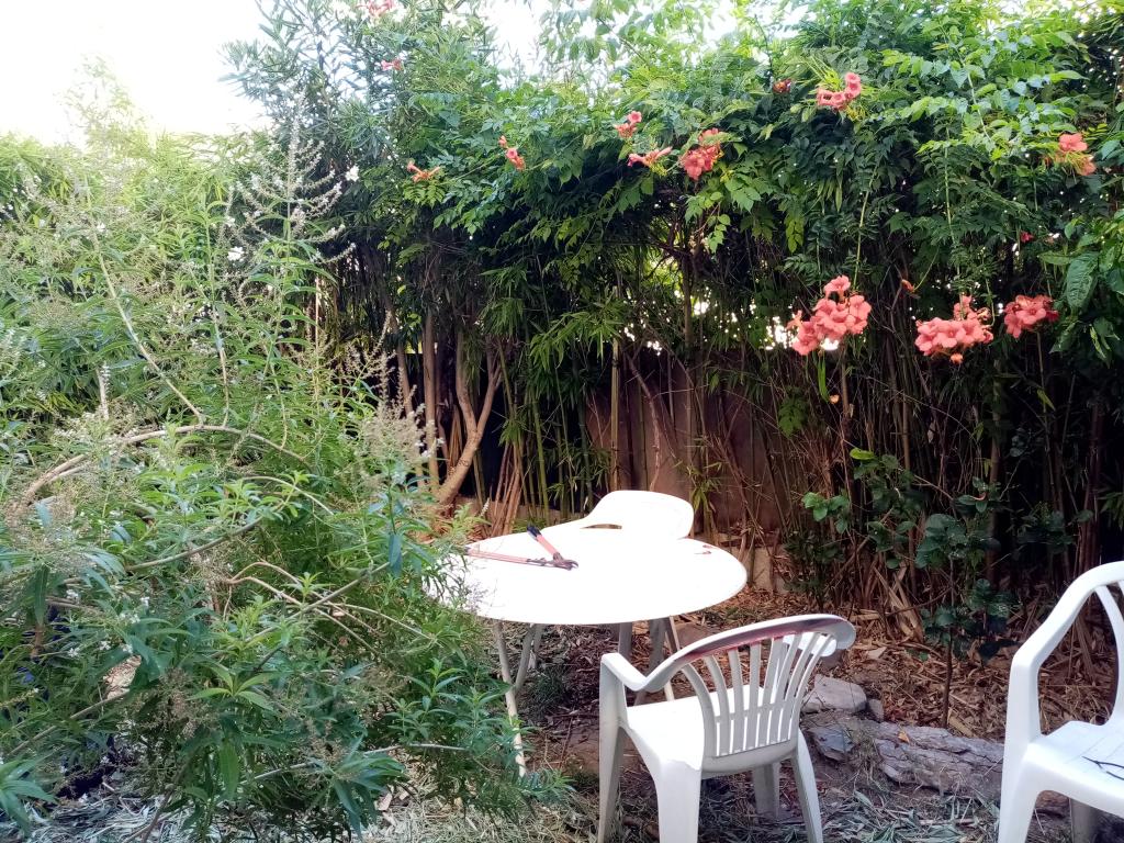 Location chambre Montpellier - Photo 1
