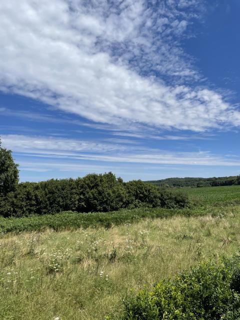 Location maison F5 Dollon - Photo 5