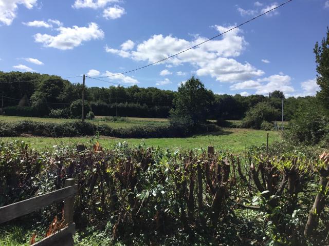 Location maison F5 Dollon - Photo 9