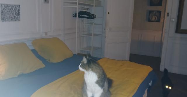 Location chambre Nice - Photo 9