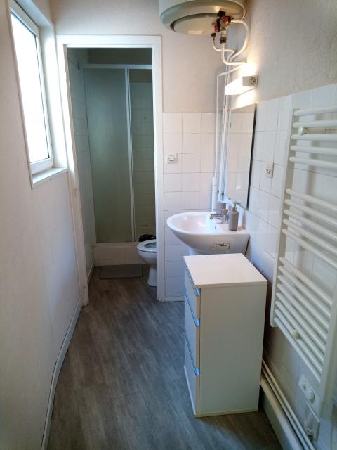 Location appartement T1 St Etienne - Photo 2