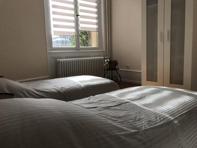 Location appartement T6 Colmar - Photo 3