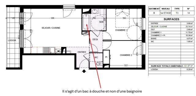 Location appartement T3 Tours - Photo 2
