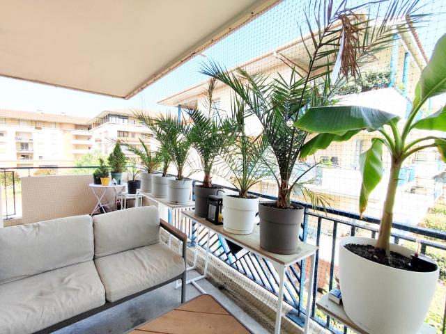 Location appartement T3 Toulouse - Photo 2