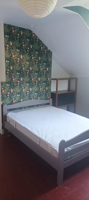 Location chambre Angers - Photo 6
