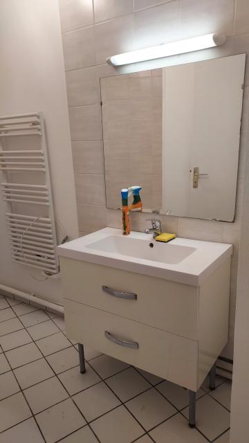 Location appartement T2 Caluire et Cuire - Photo 8