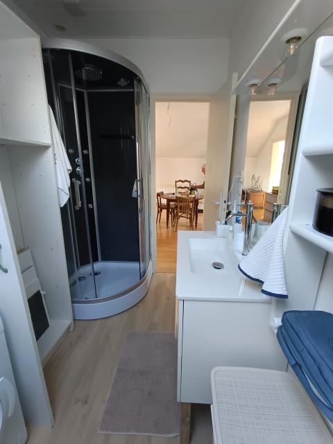 Location appartement T3 Rumilly - Photo 6