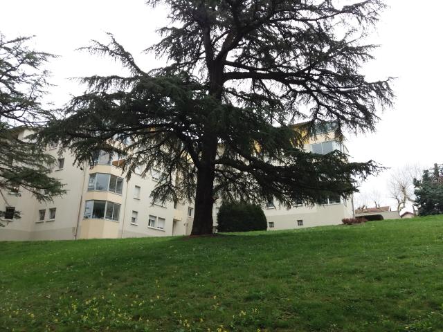 Location appartement T4 Rive de Gier - Photo 4