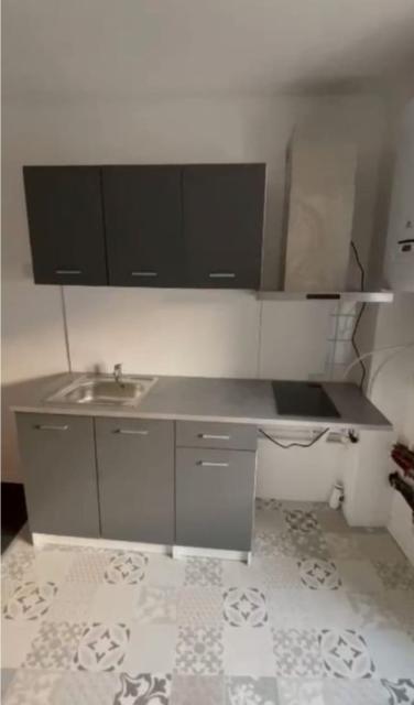 Location appartement T3 Givors - Photo 2