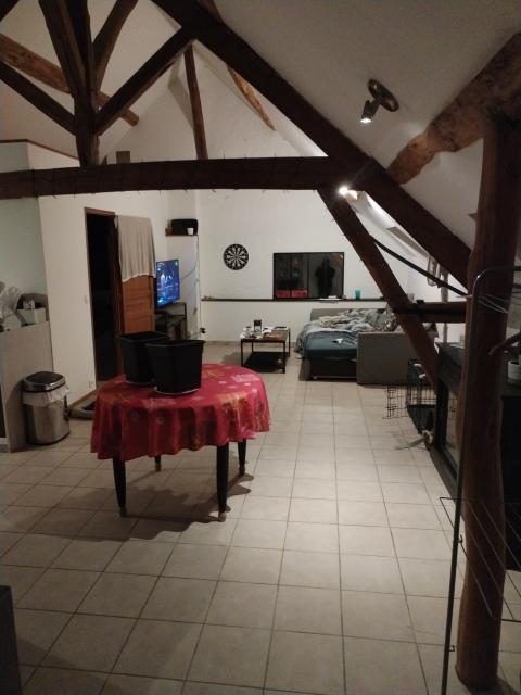 Location appartement T2 La Chapelle Iger - Photo 5
