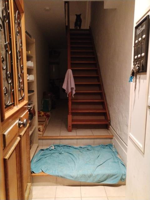 Location appartement T2 La Chapelle Iger - Photo 7