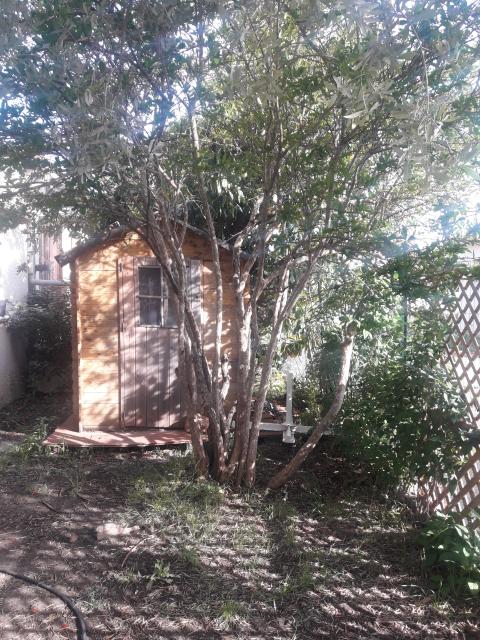 Location maison F4 Cournonterral - Photo 10