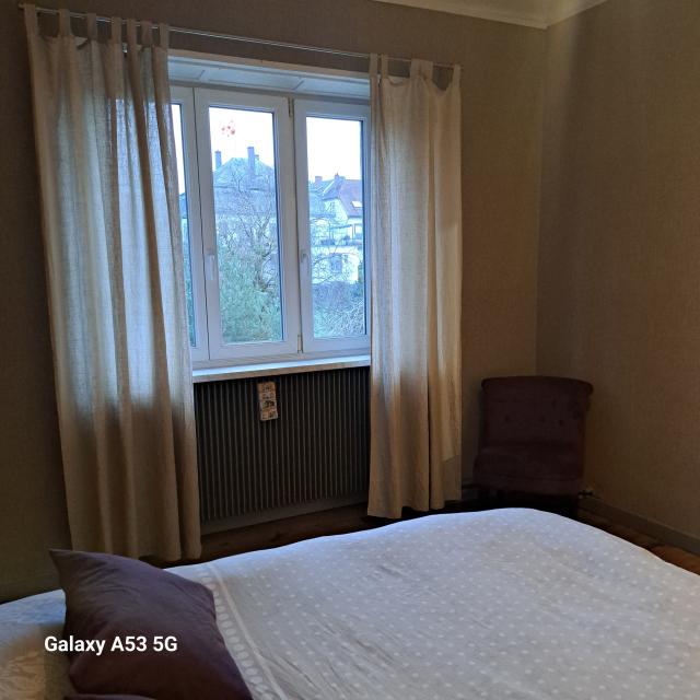 Location appartement T3 Sarrebourg - Photo 2