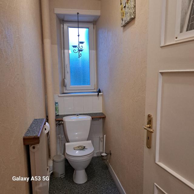 Location appartement T3 Sarrebourg - Photo 4