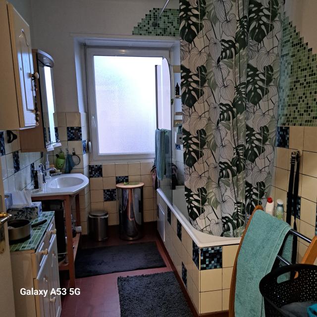 Location appartement T3 Sarrebourg - Photo 5