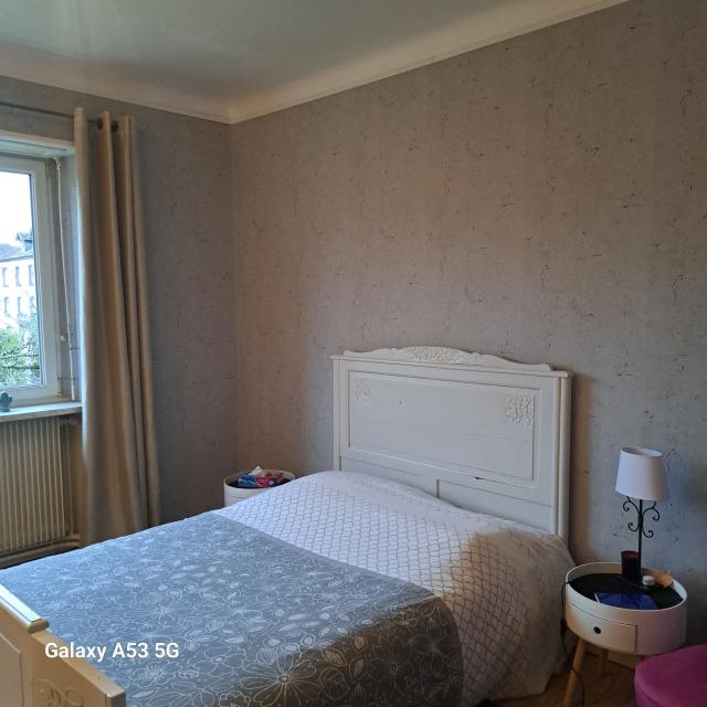 Location appartement T3 Sarrebourg - Photo 8