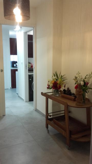 Location appartement T3 Antibes - Photo 6