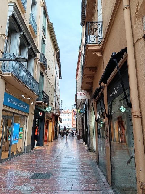 Location appartement T2 Perpignan - Photo 9