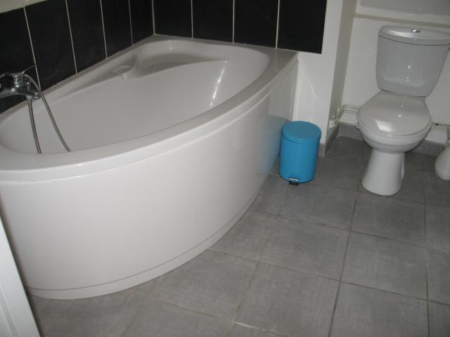Location appartement T3 Grenoble - Photo 2