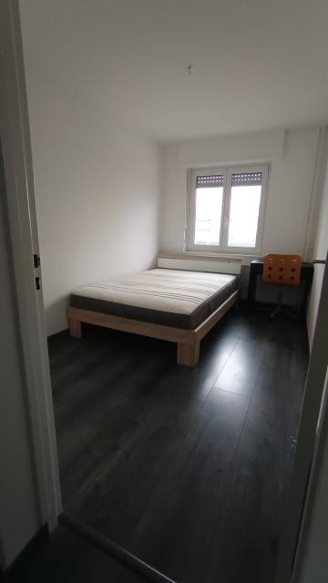 Location appartement T1 St Louis - Photo 4