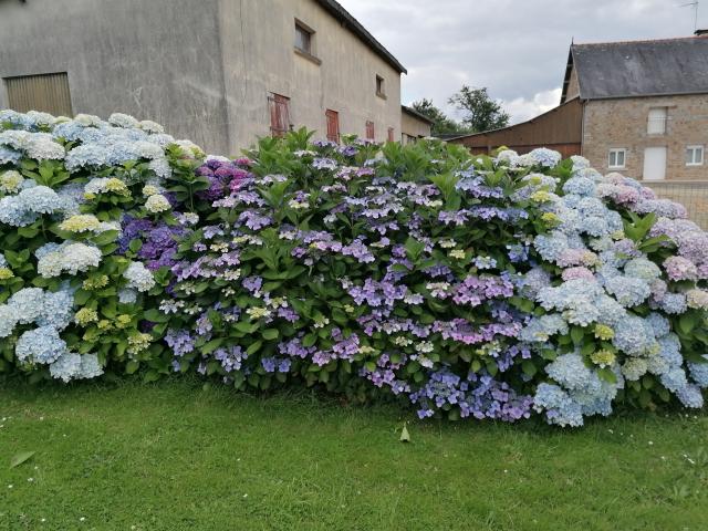 Location chambre Parigny - Photo 7