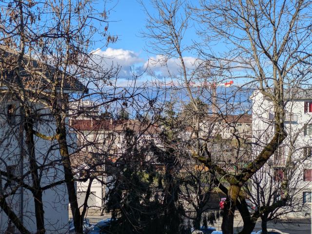 Location appartement T2 Thonon les Bains - Photo 7
