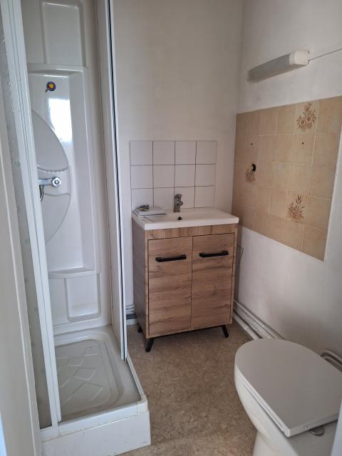 Location appartement T3 St Sulpice les Feuilles - Photo 3