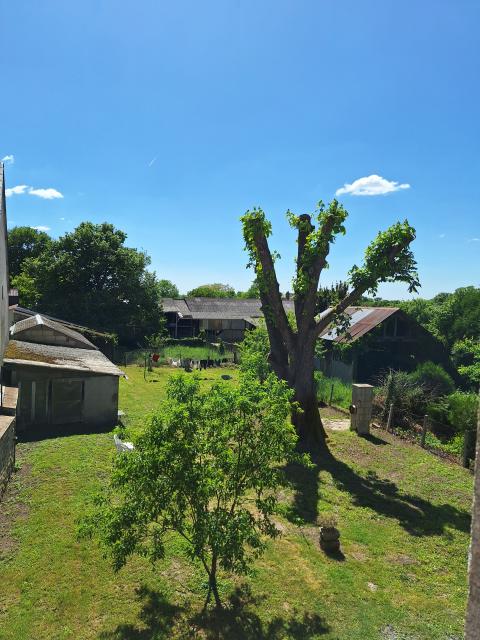 Location appartement T3 St Sulpice les Feuilles - Photo 4